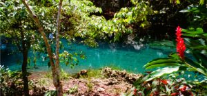 Matevulu’s blue hole showcases a radiant natural crystal clear pool, Espiritu Santo, Vanuatu