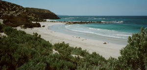 Cliffs, bays, coves and beaches line the coast of Kangaroo Island in South Australia