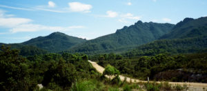 Heading down Gordon River Road opens up remarkable vistas on either side of Lake Gordon to the north and Lake Pedder to the south