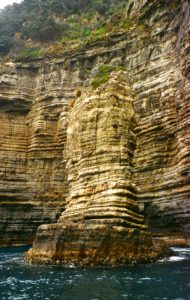 Towering sea stacks reach for the sky in Tasman National Park