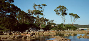 A calm morning, Bay of Fires, TAS