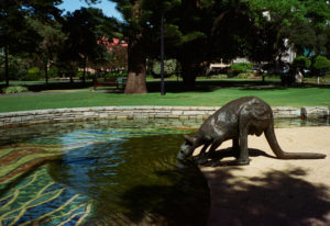 Kangaroo sculpture, Stirling Gardens, Perth, WA
