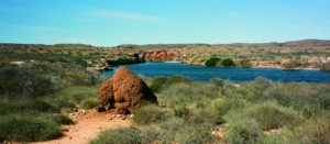 Termite mound at Yardie Creek in Cape Range N.P., WA